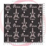 BONJOUR PARIS 50301 - 3