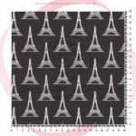 BONJOUR PARIS 50302 - 1