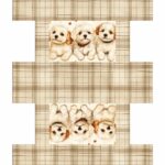 NECESSAIRE BOX - 286-118