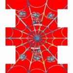 NECESSAIRE BOX - 286-120