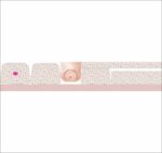 FRASQUEIRA BABY - 438-03 - Imagem 2