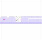 FRASQUEIRA BABY - 438-25 - Imagem 2