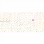 MOCHILA 2 EM 1 306-39 - Imagem 2