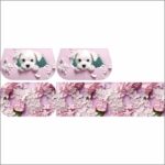 NECESSAIRE DINDA 356 -42 B