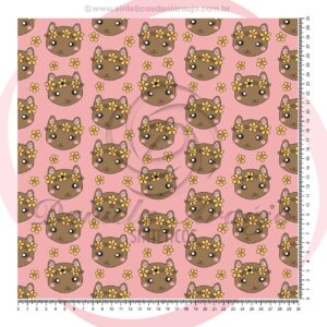 GATO 6064 - 1