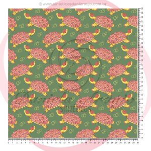 TARTARUGA 6214 - 1